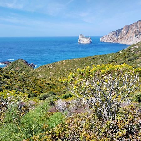 Villa Brezza Marina Nebida Bagian luar foto