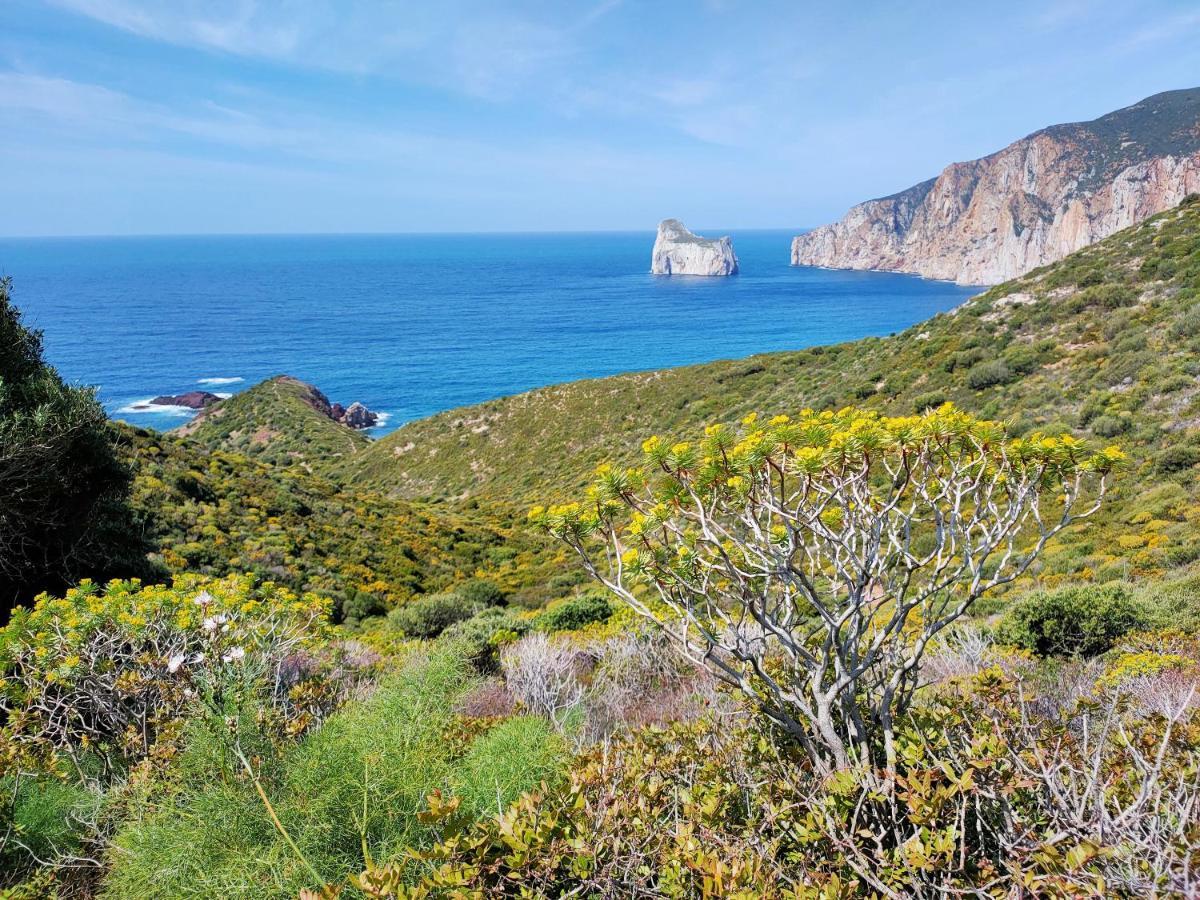 Villa Brezza Marina Nebida Bagian luar foto
