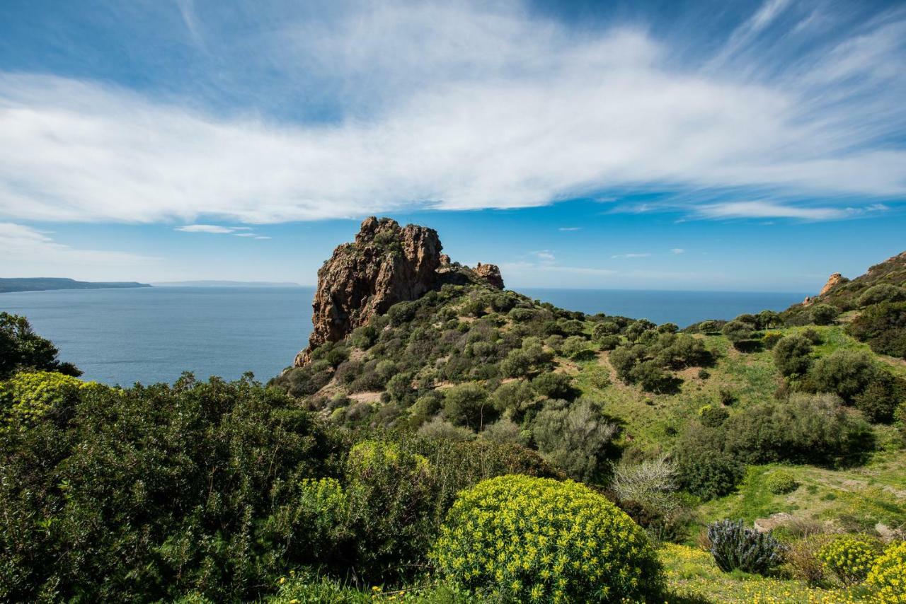 Villa Brezza Marina Nebida Bagian luar foto